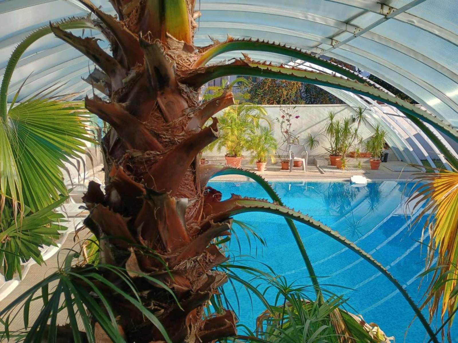Enis Hotel С Минерален Басейн Sapareva Banya ภายนอก รูปภาพ